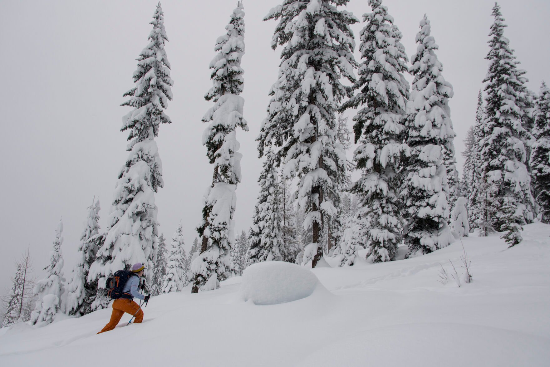  Its operations limited, avalanche center urges public observations