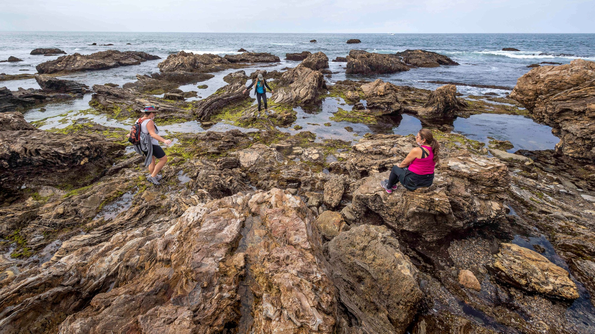  More education, research opportunities allowed by wildlife commission in coastal protected areas