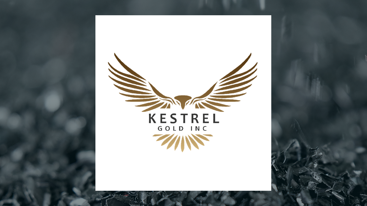  Kestrel Gold (CVE:KGC) Shares Down 14.3% – What’s Next?