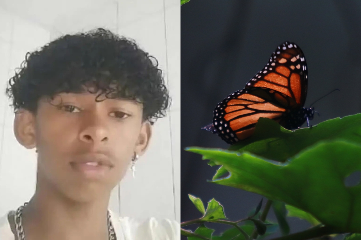  Teen Boy Dead After Injecting Himself With Dead Butterfly for Online Challenge