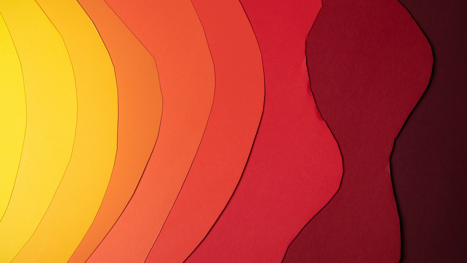  Warm Colors Range From Sunny Yellows to Luscious Reds