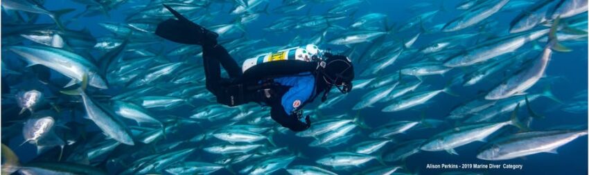  Sydney Hosts ADEX OZTek 2025: A Groundbreaking Event for Global Dive Tourism and Marine Conservation