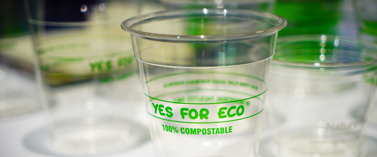  Bioplastics and Other Alternatives: Can They Replace Traditional Plastic?