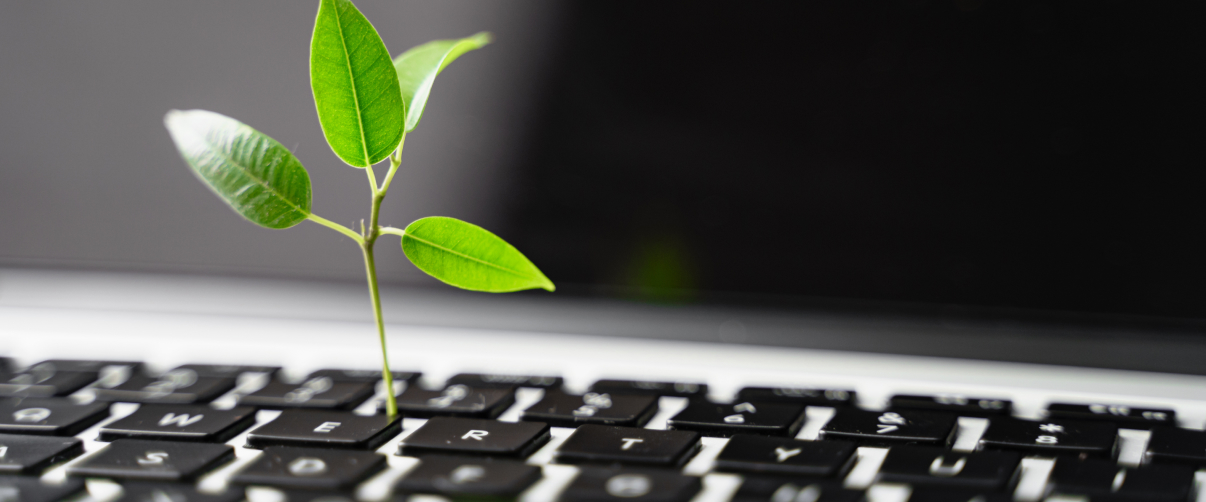  Eco-Friendly Laptops: Which Brands Are Committed to Sustainability?