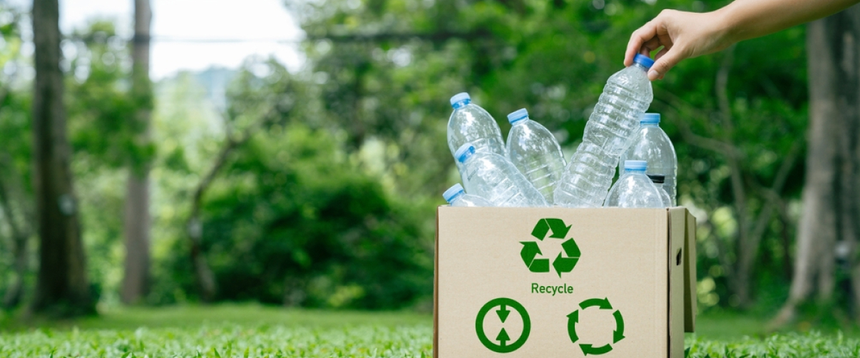  From Waste to Wealth: Innovative Startups Transforming Plastic Trash into Useful Products