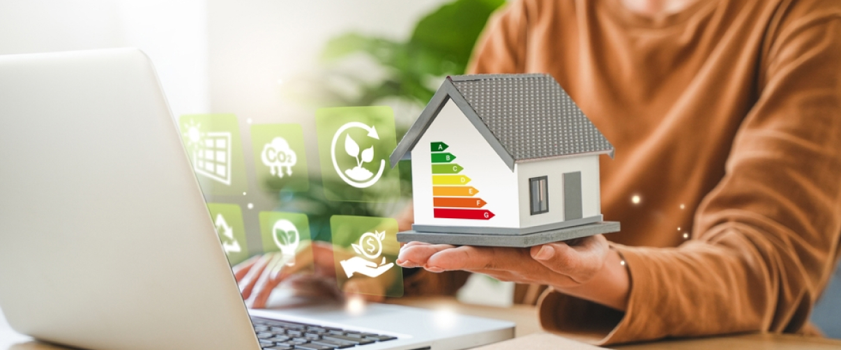 Sustainable Home Improvements: Eco-Friendly Upgrades That Save Money