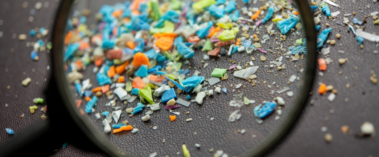  The Invisible Threat: How Microplastics Are Polluting Our Bodies and Ecosystems