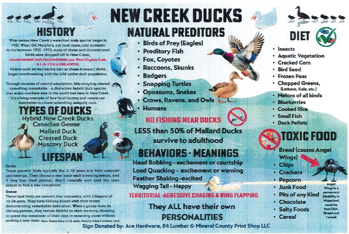  Keyser resident working on signs for New Creek Ducks