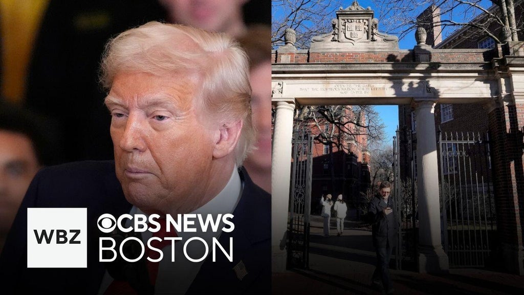  Trump administration freezes Harvard grants: Analysis