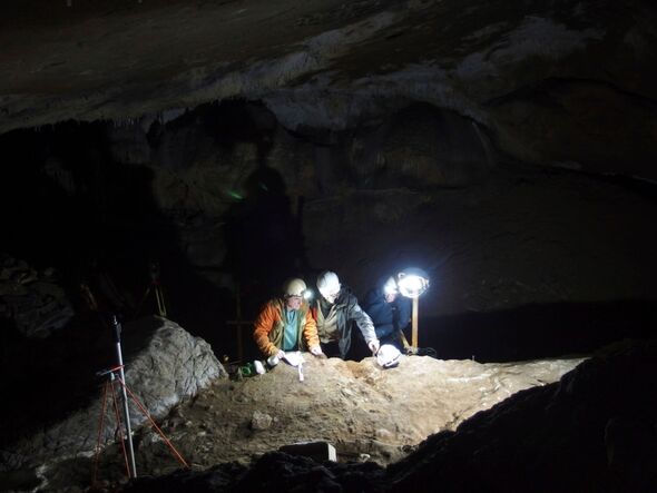  Scientists link whale bones as first human ‘tool’ in new research