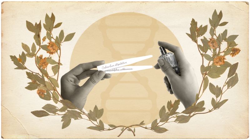  This fragrance company is trying to recreate the scent of extinct blooms