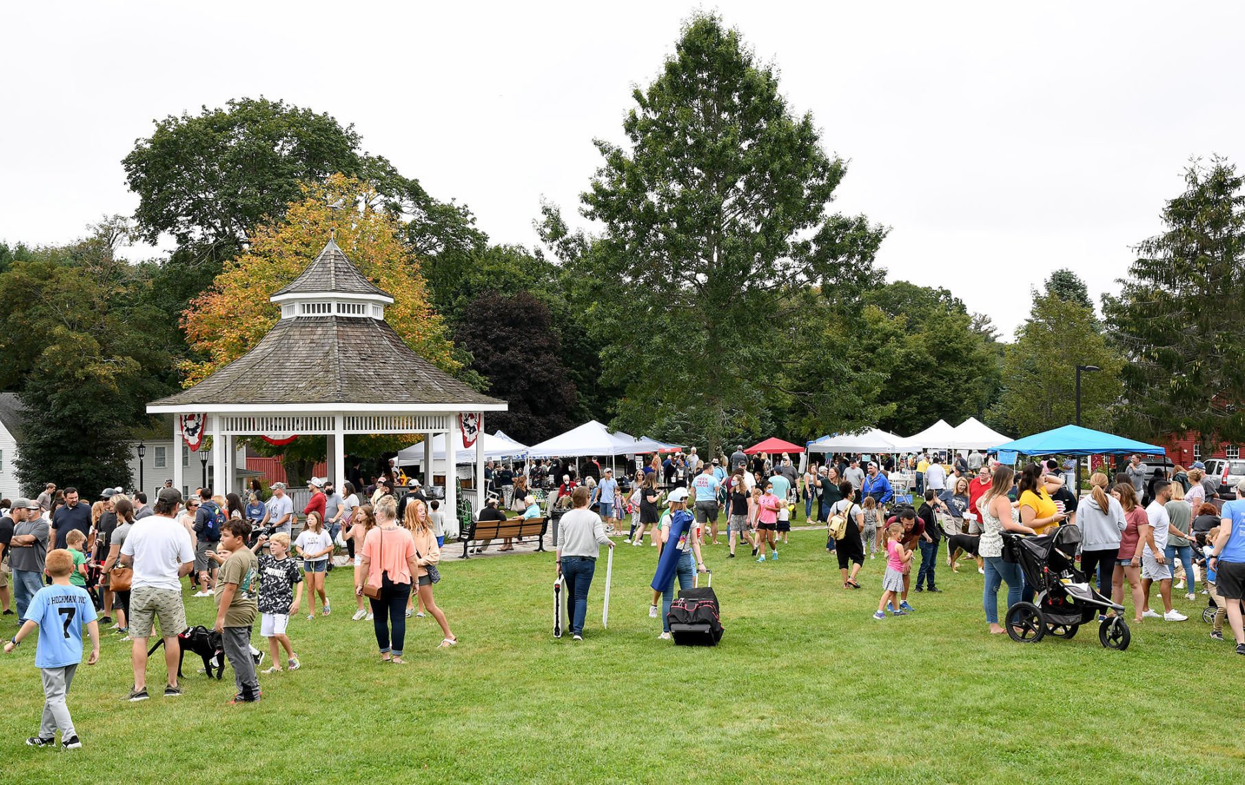  Norfolk designated as a Tree City USA