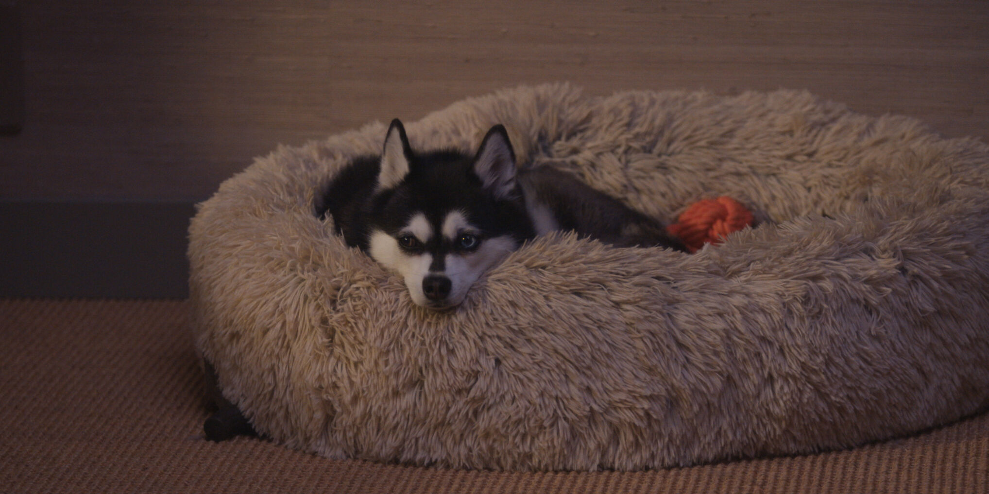  ‘Couples Therapy’ review: Best unscripted show about working through conflict — while cameras watch — returns