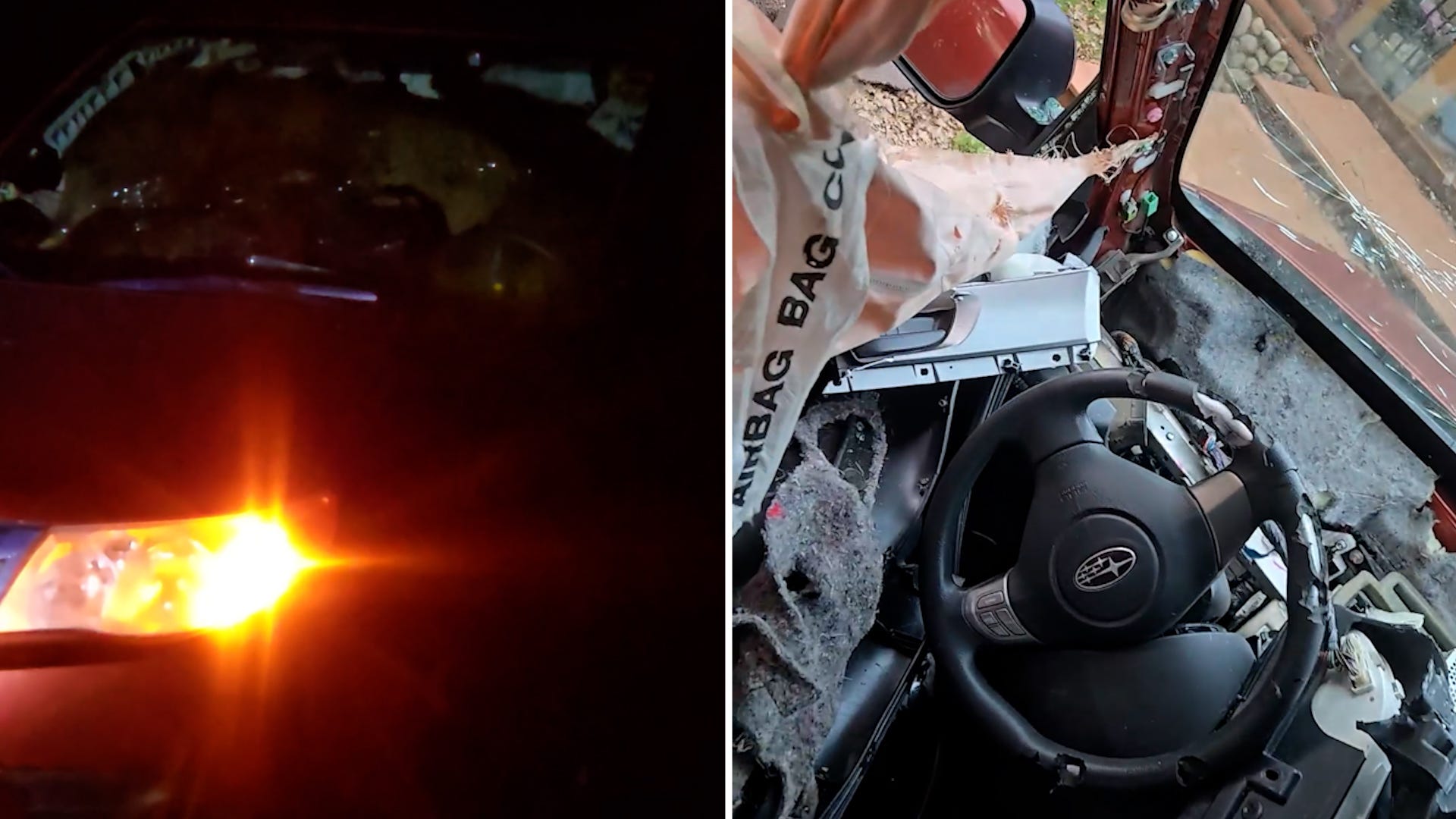  Watch: Black bear wrecks California family’s Suburu after getting locked in