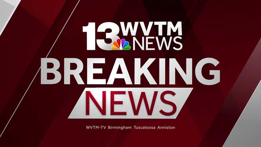 One dead, another injured after being hit by tree limbs in Birmingham