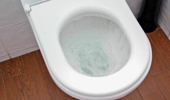  Cleaning expert shares ‘easy’ way to get rid of toilet limescale