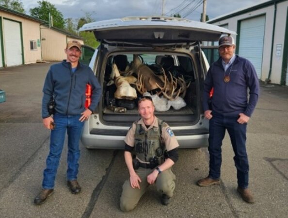  Grays Harbor County resident busted for Montana hunting violations