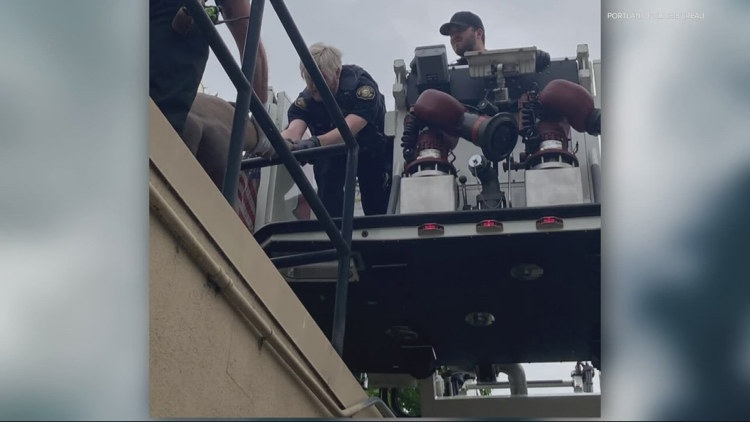 Fire crew helps police rescue intoxicated trespasser from Old Town heliport building