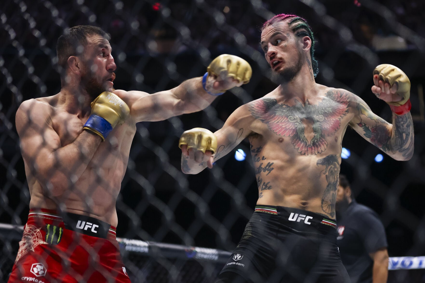  UFC title contender Sean O’Malley quit weed, social media and hair dye. Can it make him a champion?