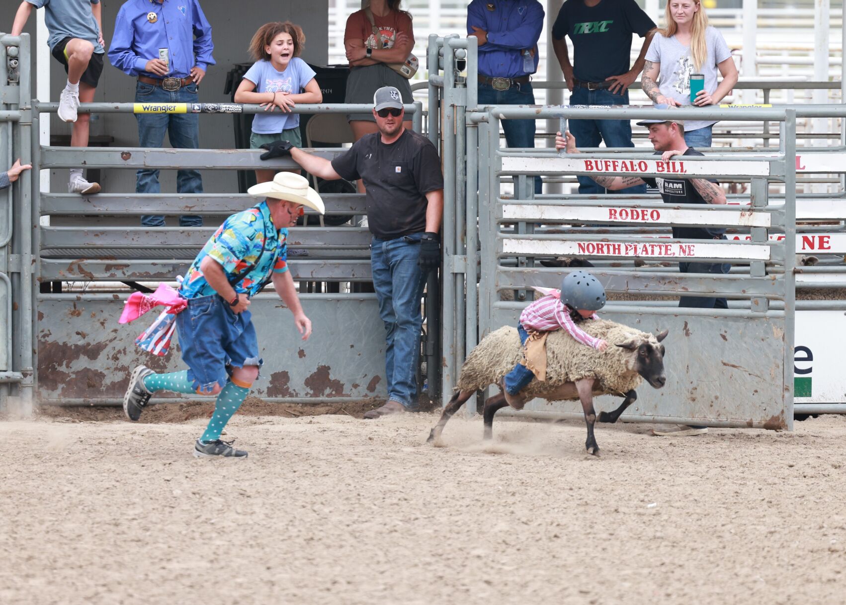 Mutton bustin’ returns for Nebraskaland Days, testing young cowboys and cowgirls abilities