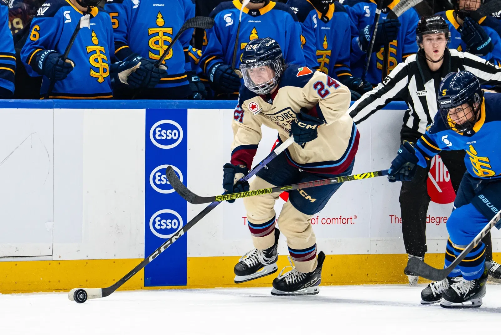 PWHL Vancouver Plans To “Look For A Couple More Top Six Forwards” In Free Agency