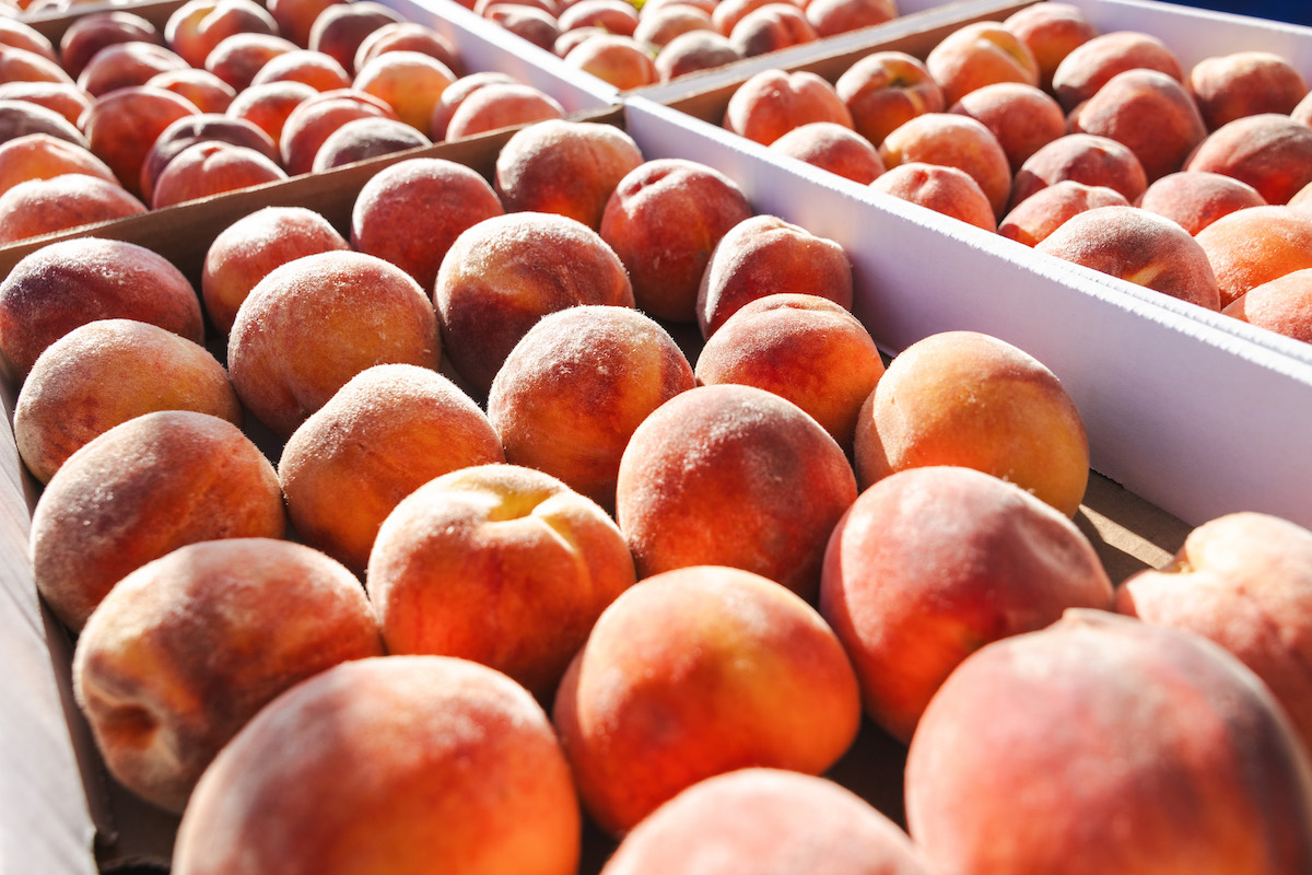 At the Market: Summer abundance can be found at Boulder County farmers markets