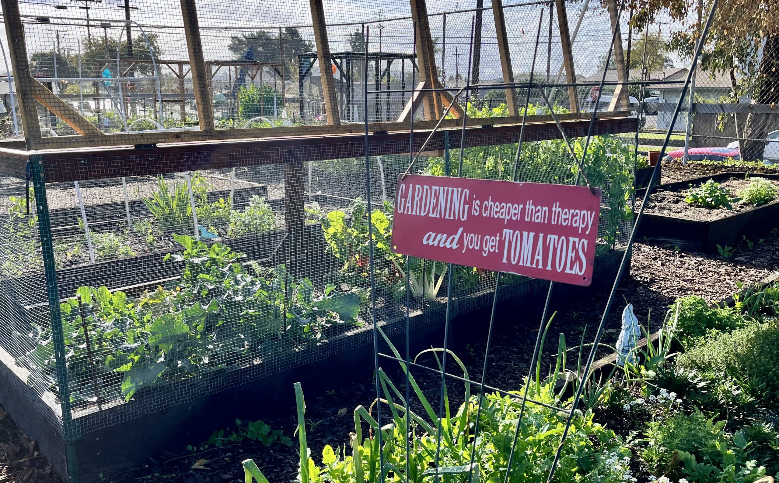  Gardening, music, and more await you this summer