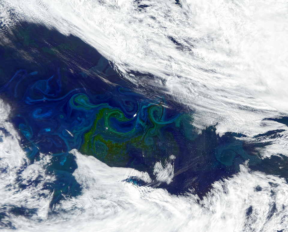  Ocean ‘Greening’ at Poles Could Spell Changes for Fisheries