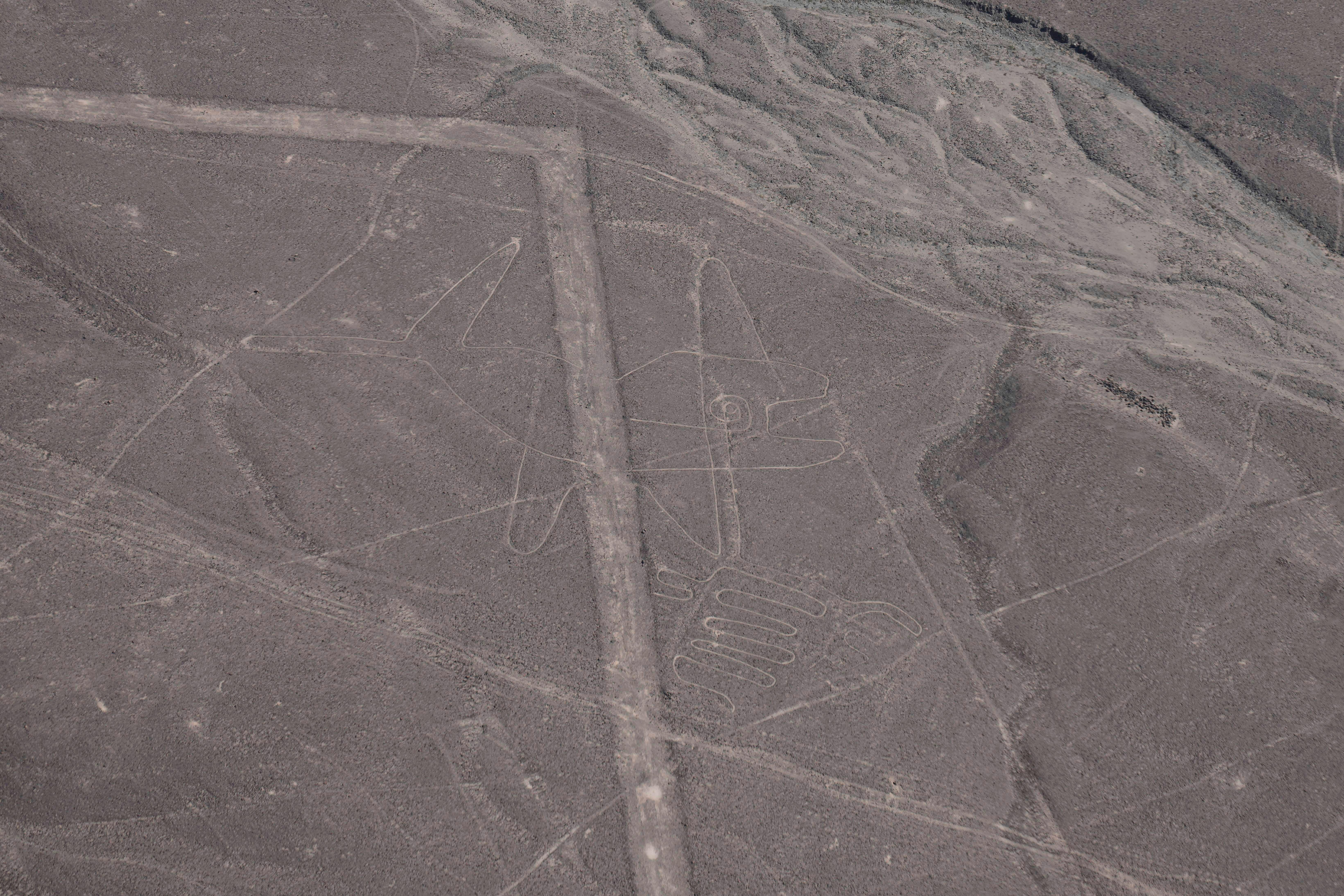  Perú restablece la protección total de las Líneas de Nazca tras controvertido recorte del área