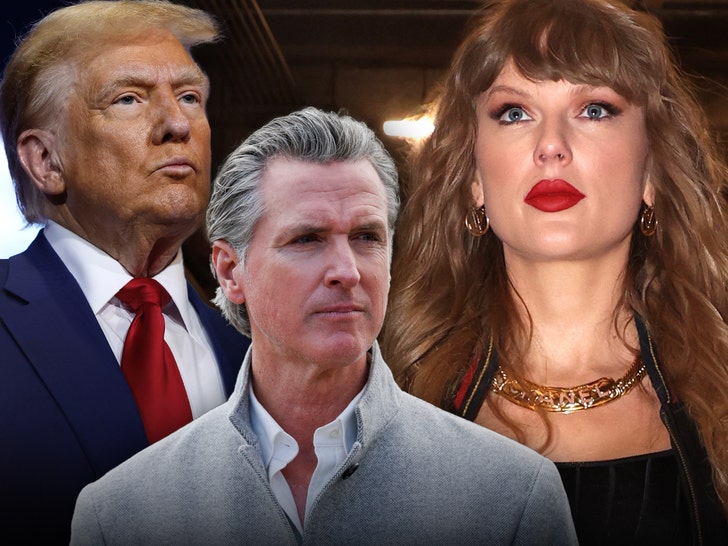  Gavin Newsom Trolls Donald Trump With Taylor Swift Lyric Jab in TikTok Post