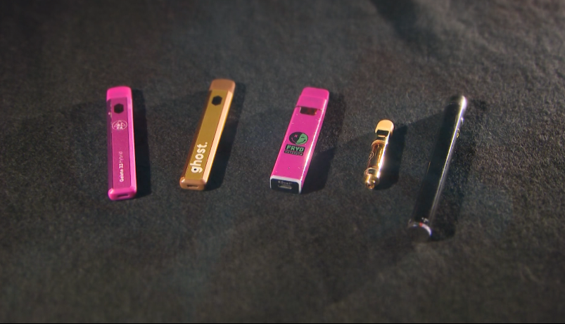  ‘Age matters’: Doctor offers revealing look at cannabis’ impact on young brains