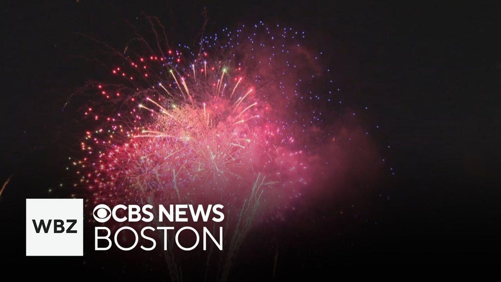 July 4th a dangerous time for dogs and other pets, Missing Dogs Massachusetts says