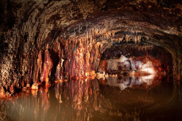 Geologist reveals unsurprising flavor of oldest water on Earth after drinking it from mine