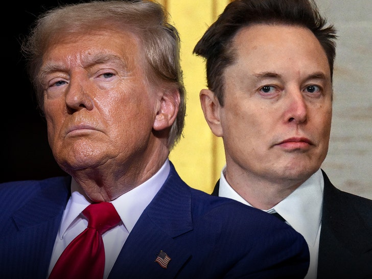  Trump Rips Into Elon Musk, Threatens DOGE Cuts on His Subsidies