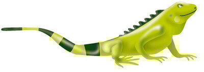  Ongoing Customs Adjustment Procedure Initiated by the Colombian Tax and Customs Authority