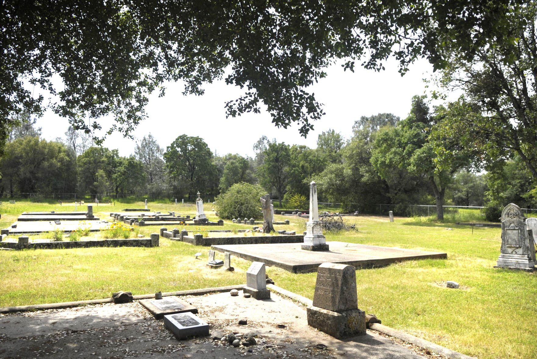  From cemeteries to cannabis, Yuba Grand Jury weighs in