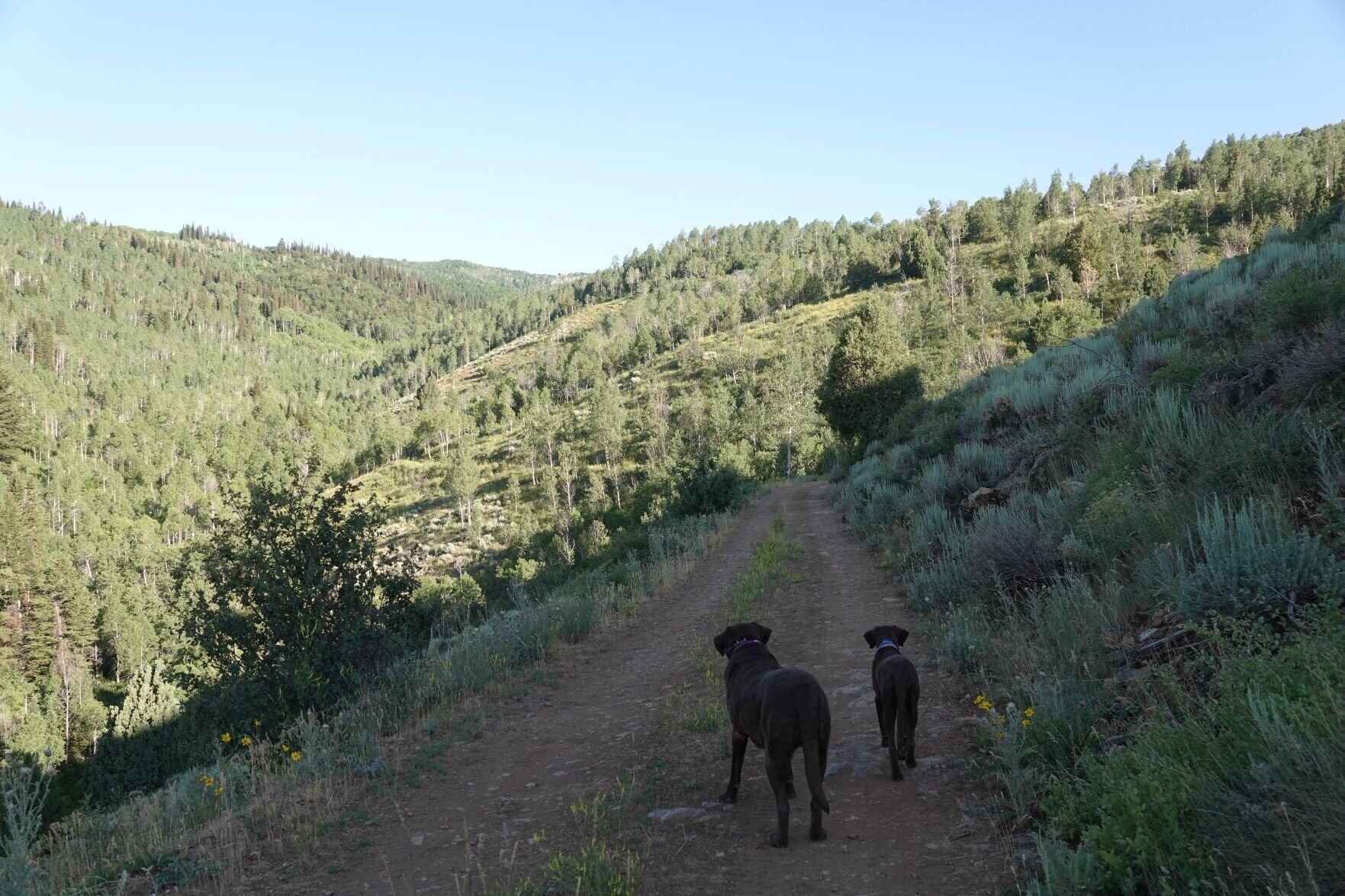 Enjoying the outdoors benefits you in so many ways