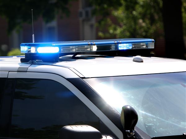 Pedestrian struck, killed on Anthony Wayne Trail