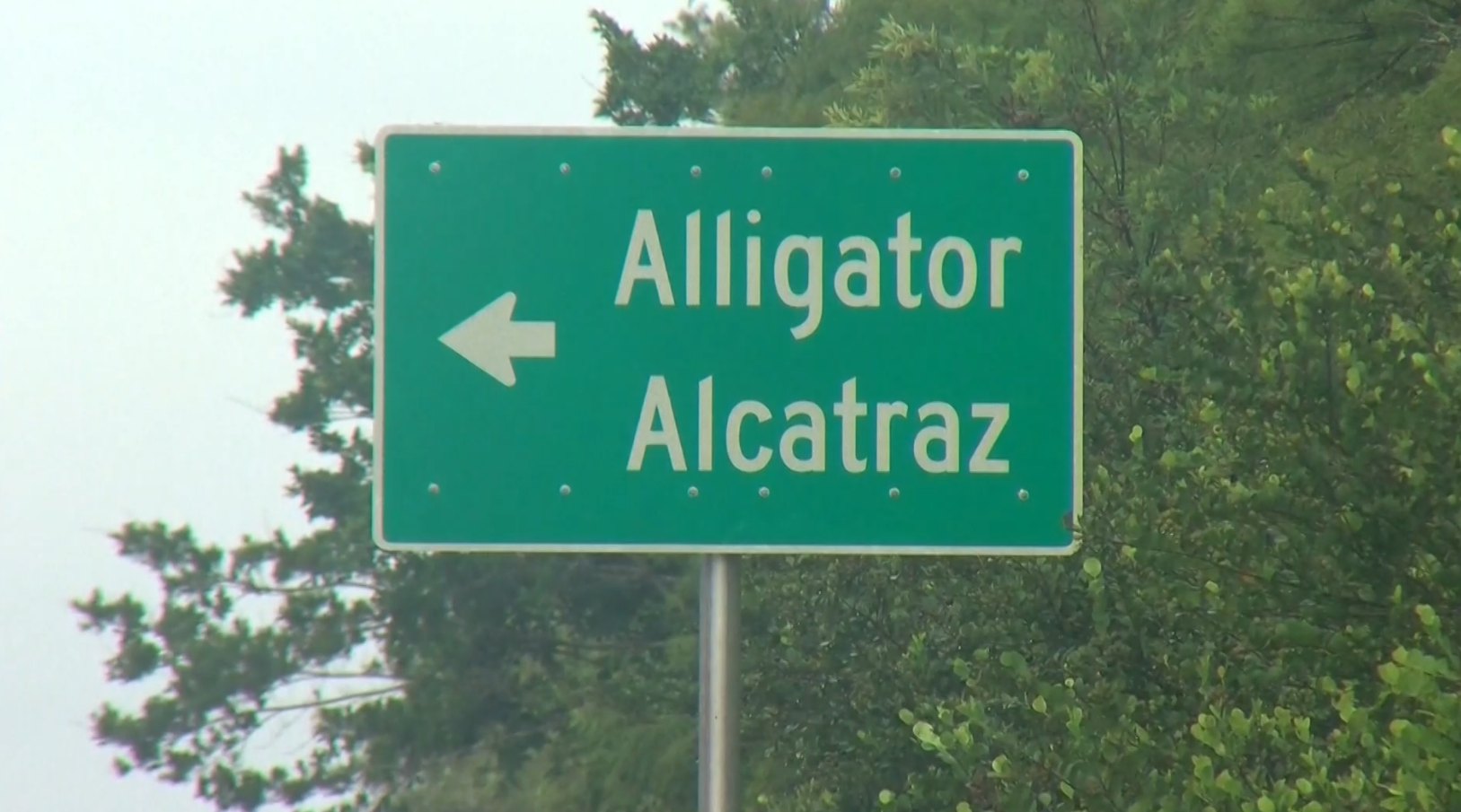  5 Florida lawmakers file lawsuit after being denied access to Alligator Alcatraz