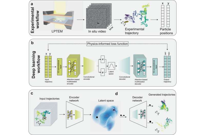 New AI tool deciphers mysteries of nanoparticle motion in liquid environments