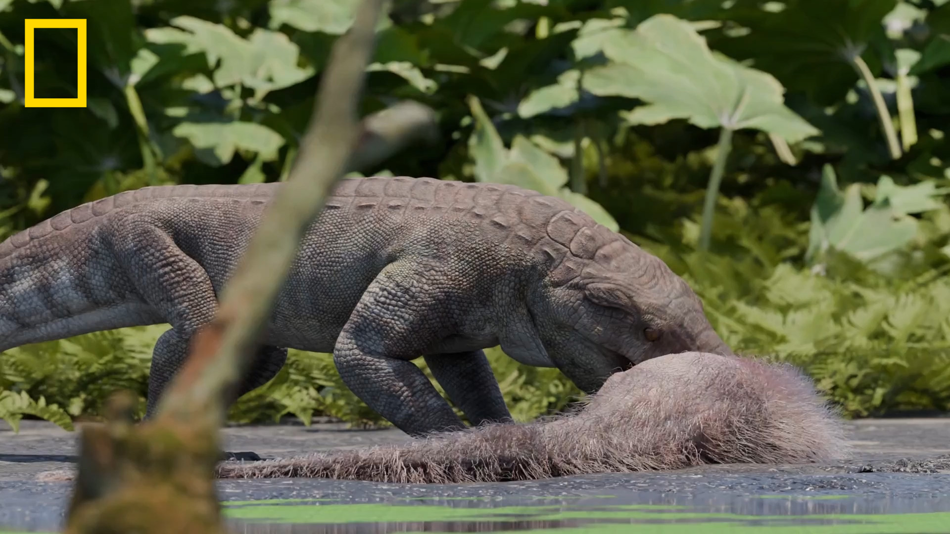 Newly discovered fossil unearths ancient croc that may have hunted dinosaurs on land, expert says