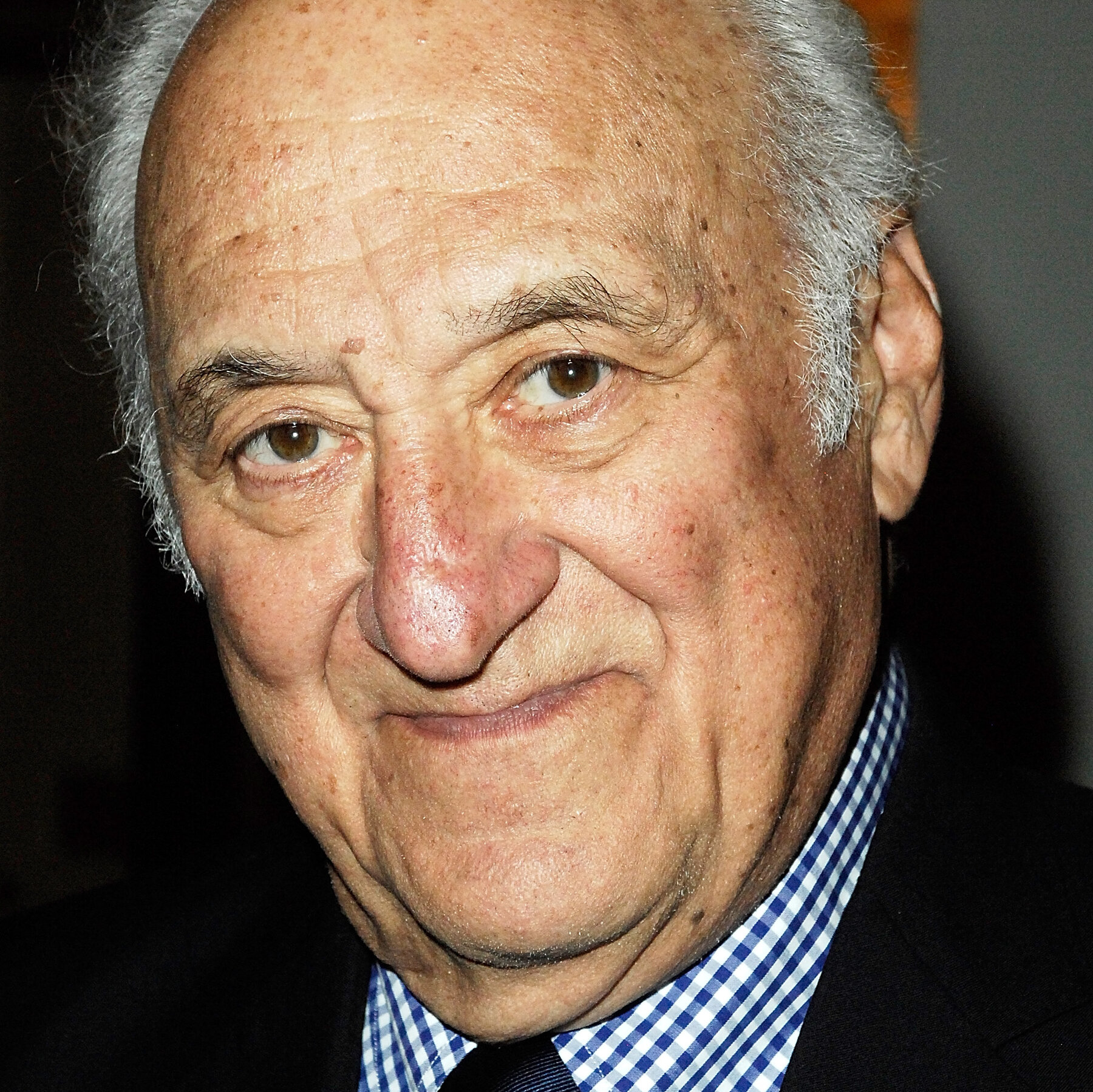 Jerry Adler, Actor in ‘The Sopranos,’ Dies at 96