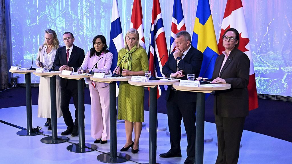  Nordic countries, Canada signal support for Ukraine security guarantees