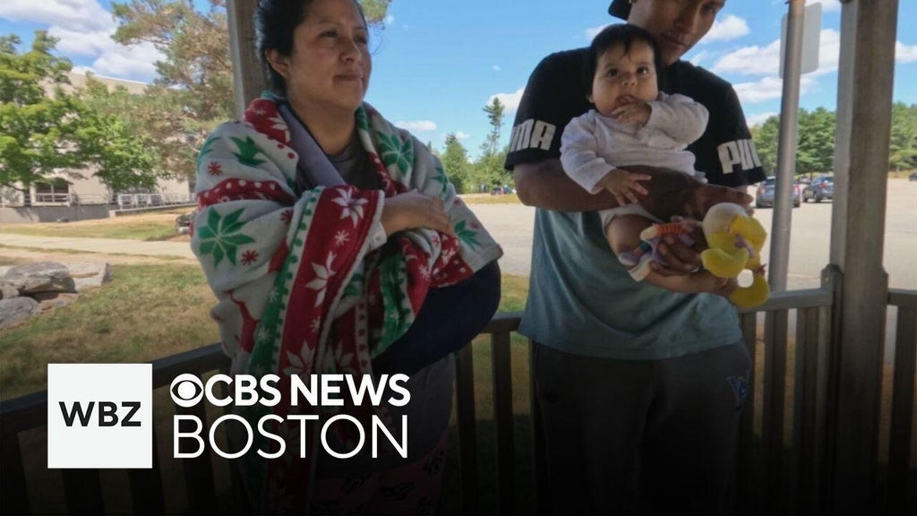 Framingham mother speaks out after she and baby daughter were hit in crosswalk