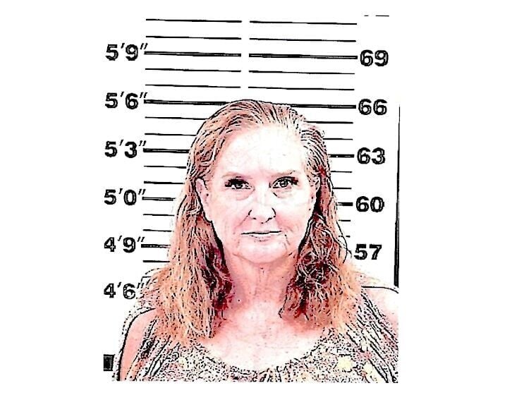 Fremont County tax and payroll service owner charged with grand theft