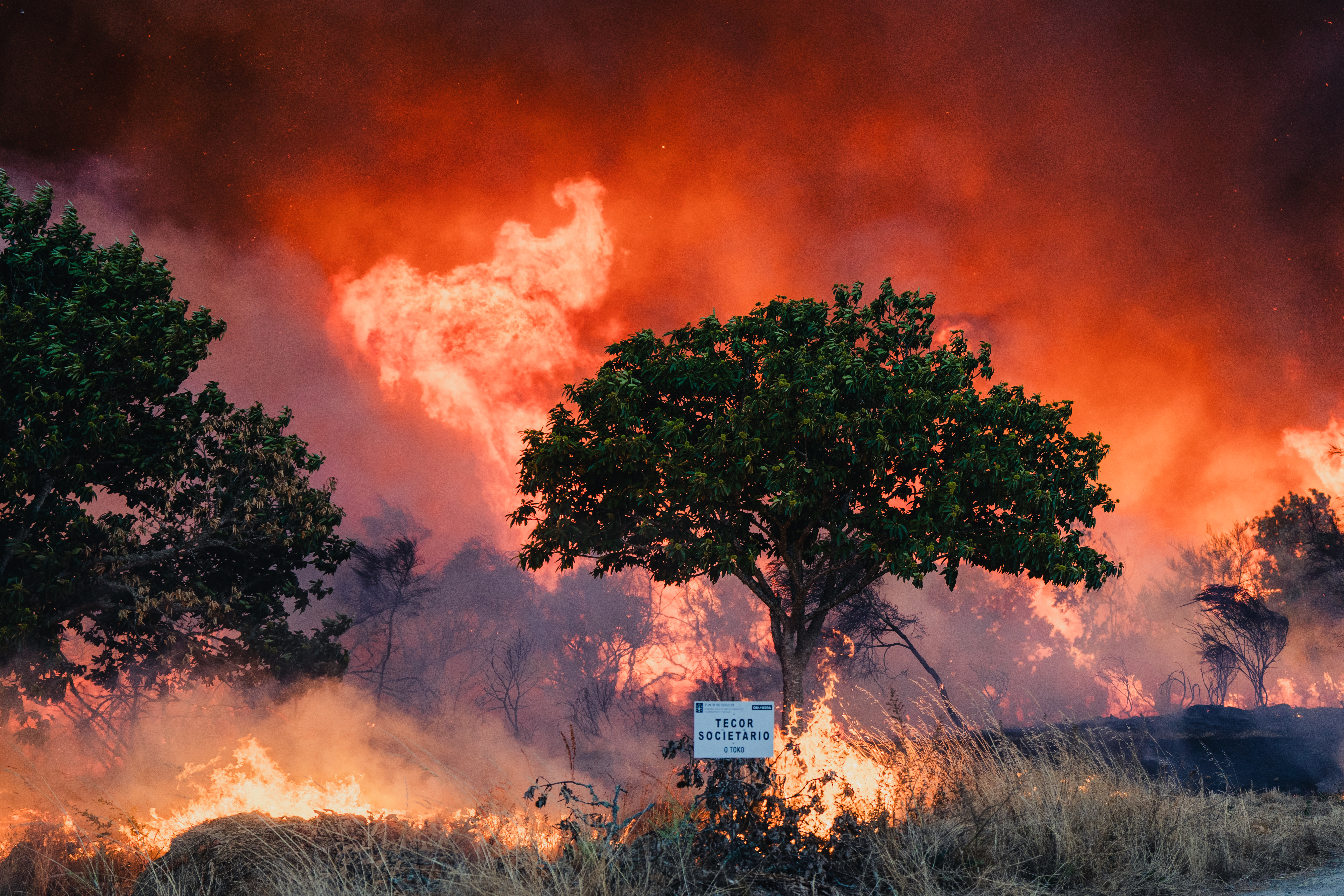  Wildfires rage across Spain and Portugal as record area of land burned