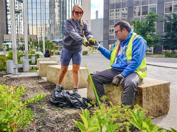 Toledo’s flower beds flourish thanks to workers from Bittersweet Farms