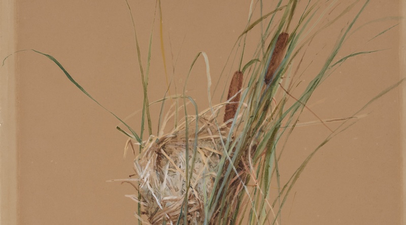 Nancy Reddy on Finding the Plot in Your Own Life