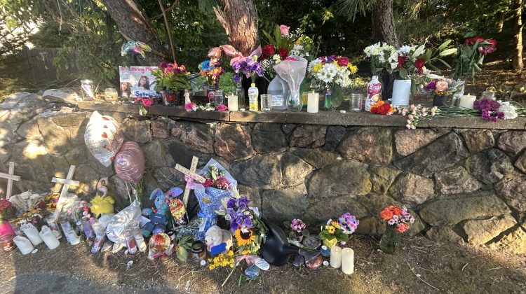 Change urged in wake of 13-year-old’s death in Marblehead