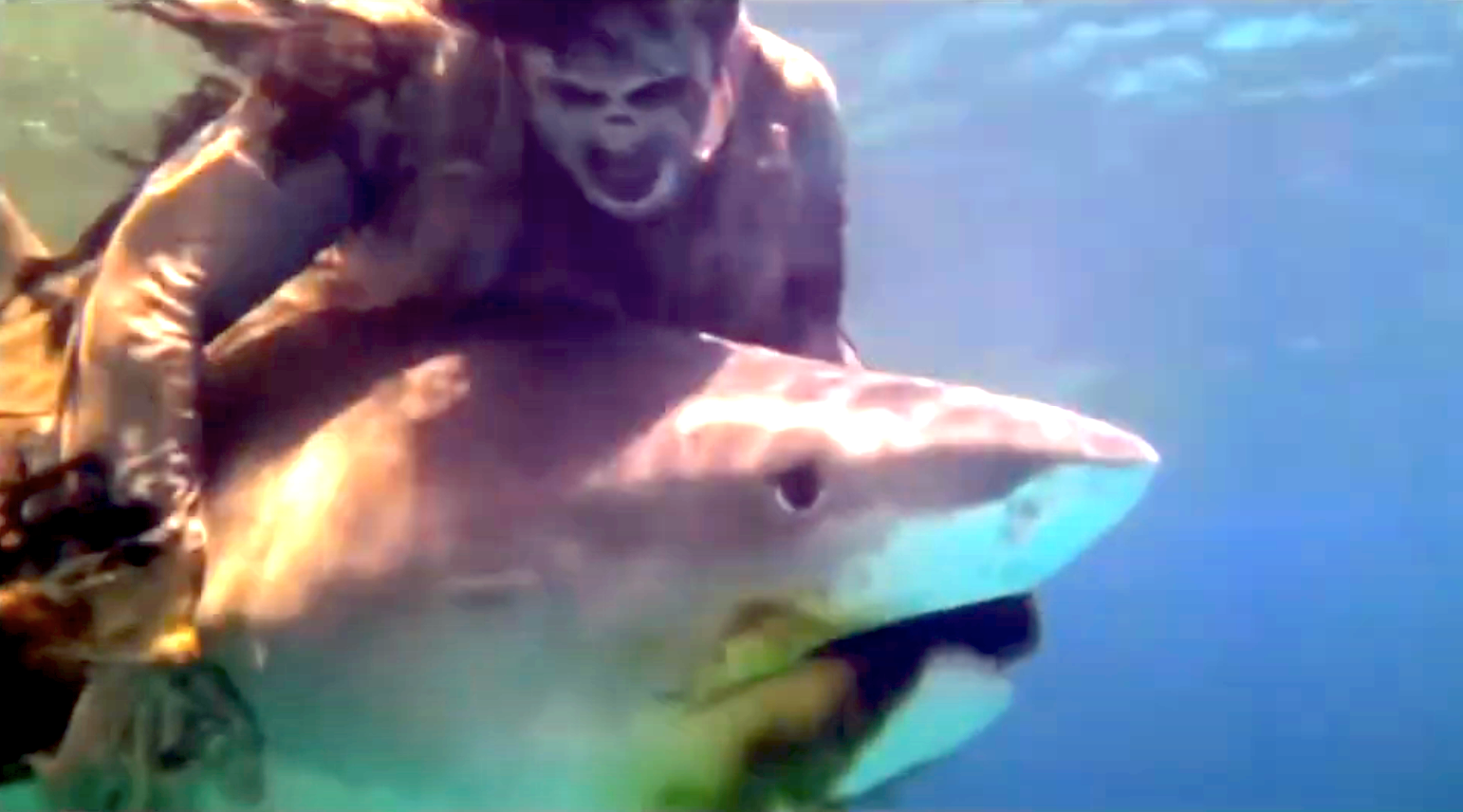 The Year Is 1979 and Nothing Will Stop You from Watching This Zombie Fight a Real Live Shark